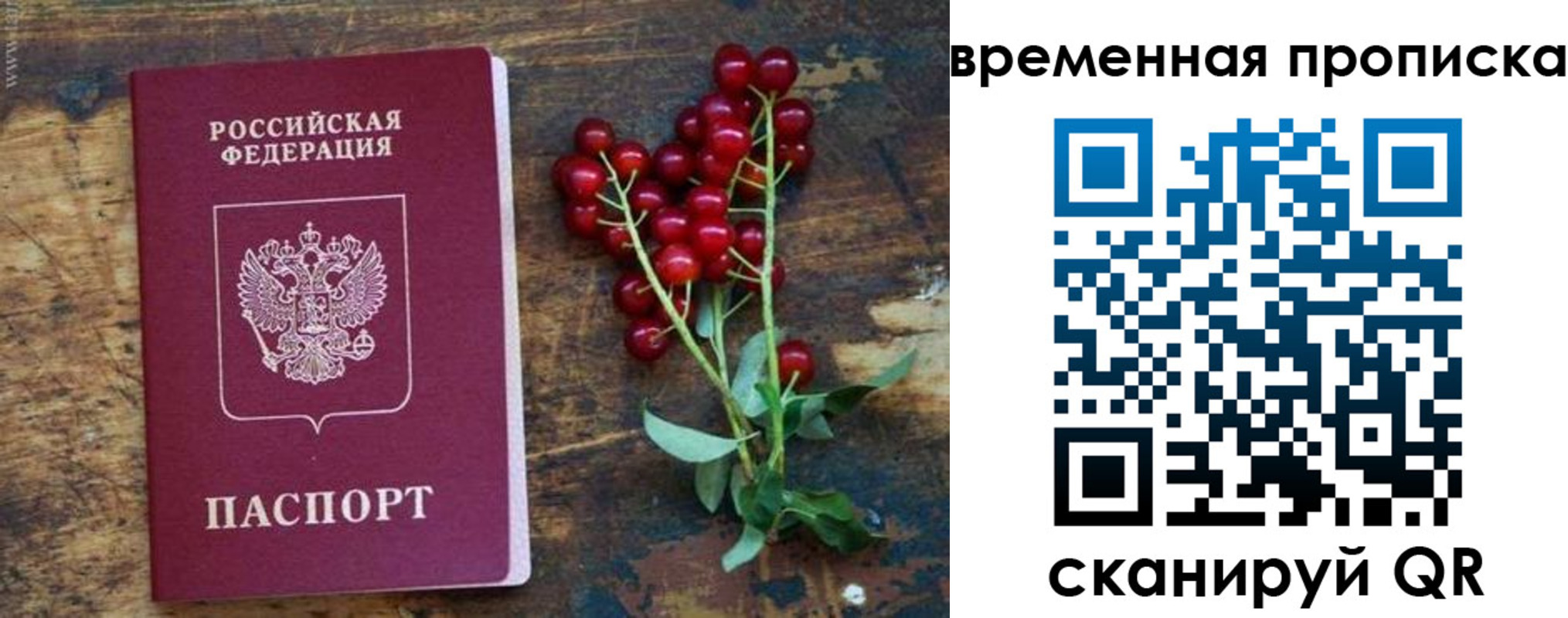 временная регистрация гарантия в Чехове